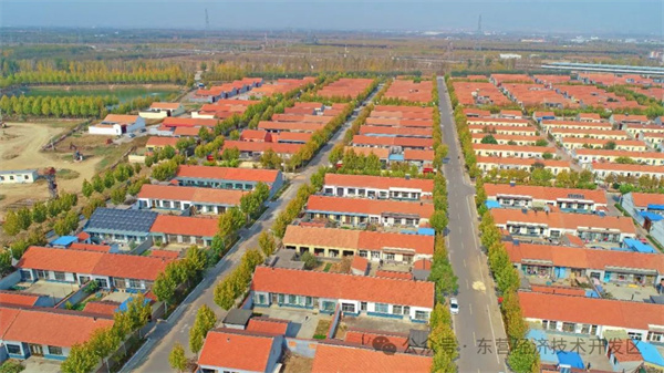 东营：东城街道乡村振兴版“向往的生活”